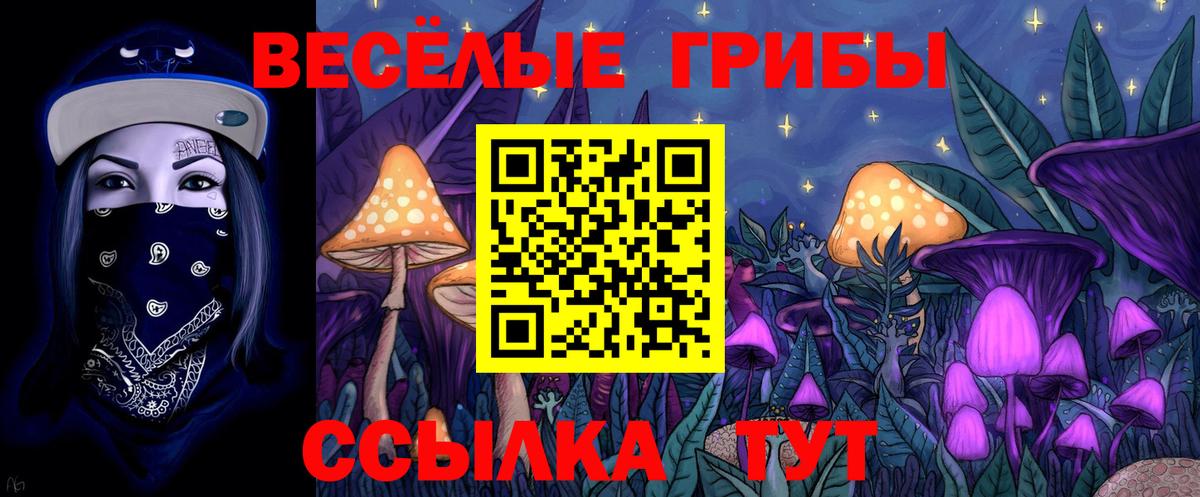 Псилоцибиновые грибы мухоморы Кисловодск