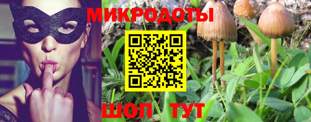 хочу наркоту  Вход с VPN  Кисловодск  Псилоцибиновые грибы прущие грибы 